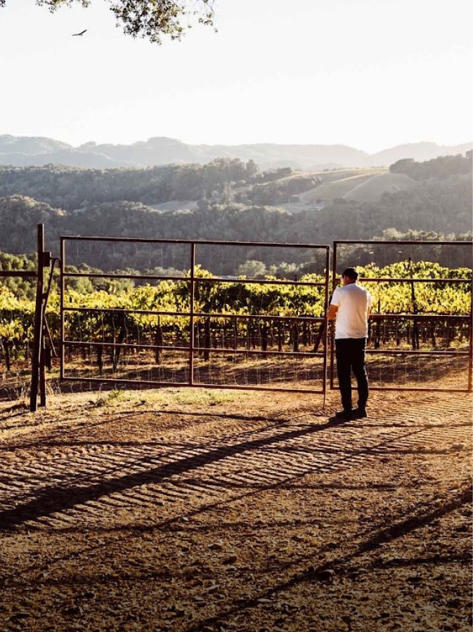 A man at a ranch gate overlooking the Shadow Canyon vineyard hills